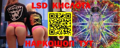 спиды Гай