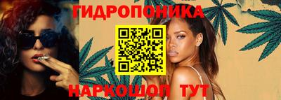 шишки Волжск