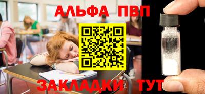 спиды Гай