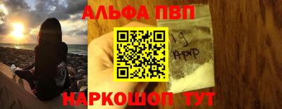 спиды Гай