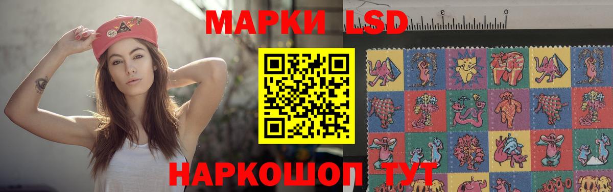 Котлас  blacksprut как зайти  Лсд 25 экстази ecstasy  Вход с VPN  ЛСД экстази кислота 
