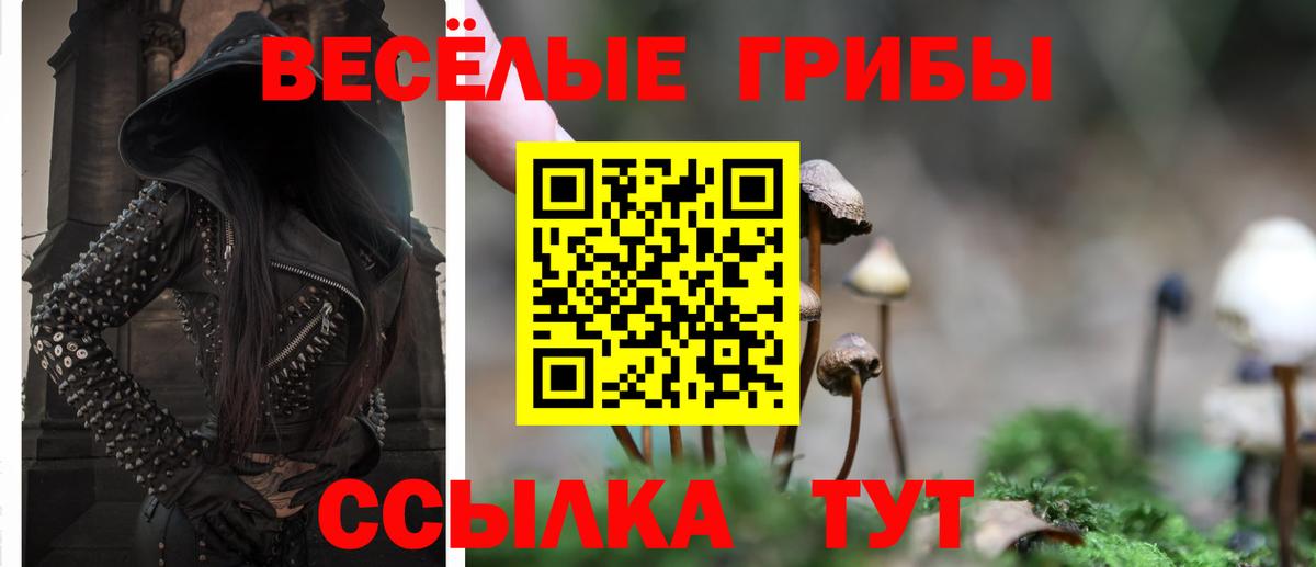 Котлас  Галлюциногенные грибы Psilocybe  Вход с VPN 